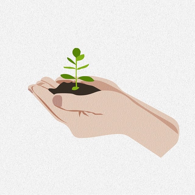 向死而生：思考死亡如何让当下活得更加真切？