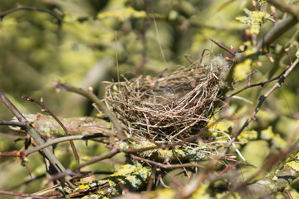 &ldquo;空巢父母&rdquo;如何适应孩子离家后的生活？