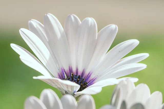 &ldquo;内卷&rdquo;疲劳：如何跳出无限竞争的心理游戏？